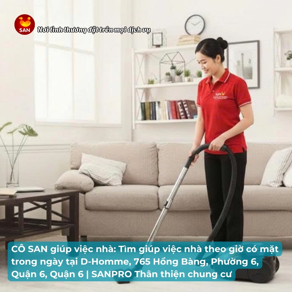 giúp việc nhà theo giờ D-Homme